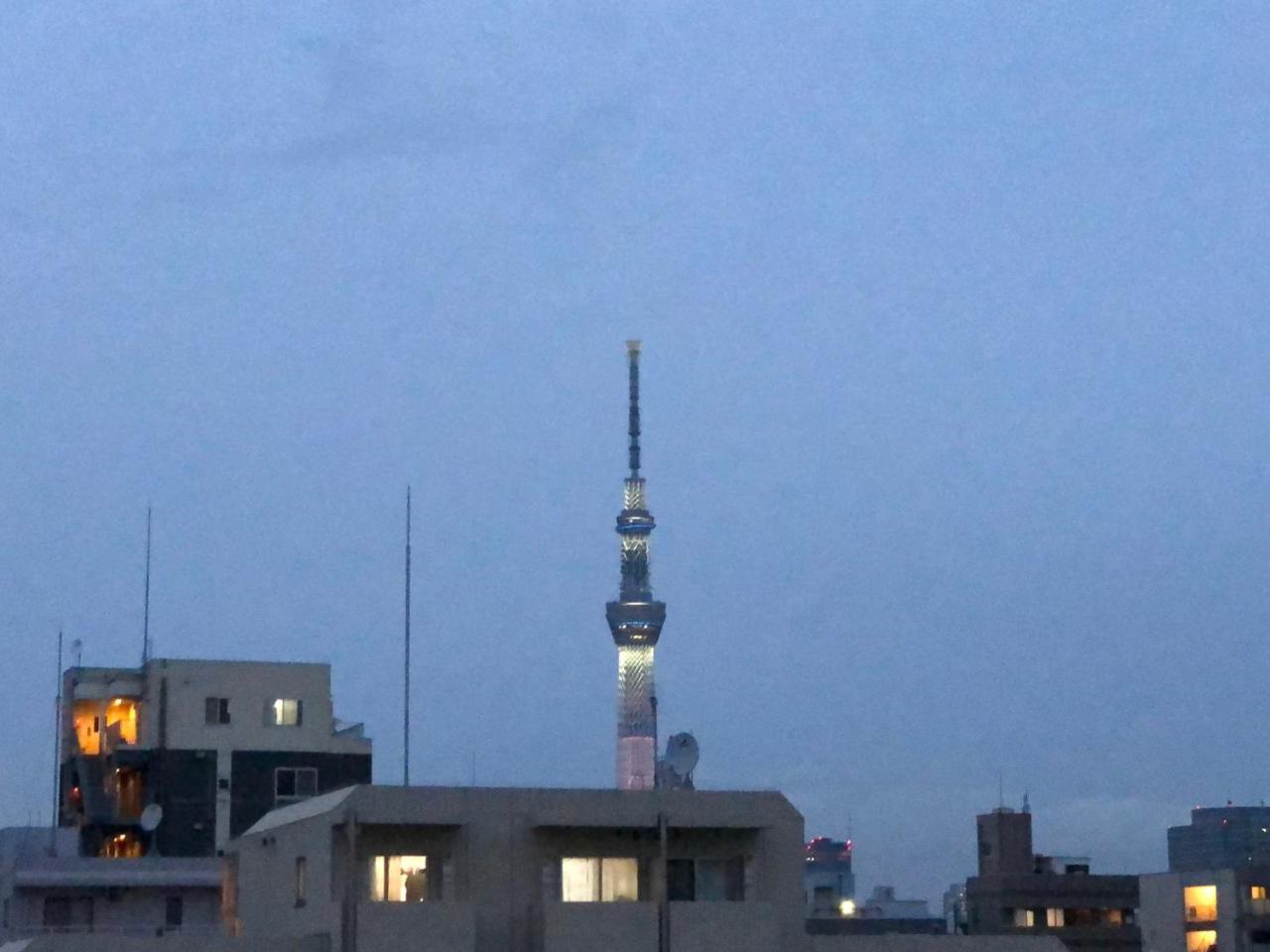 酒店 雷伽多商务酒店 2*